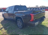 TOYOTA TUNDRA 1794 EDITION 4WD 5TFMA5DB7RX191444 photo