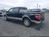 FORD F-150 FX4/HARLEY-DAVIDSON/KING RANCH/LARIAT/PLATINUM/XL/XLT 1FTFW1EV6AKB25237 fotografie