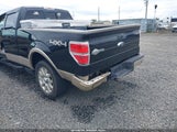 FORD F-150 FX4/HARLEY-DAVIDSON/KING RANCH/LARIAT/PLATINUM/XL/XLT 1FTFW1EV6AKB25237 снимка