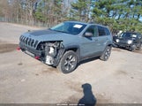 JEEP CHEROKEE TRAILHAWK 1C4PJMBS4EW179763 снимка