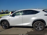 LEXUS NX 300 JTJDARBZ4L5007813 снимка
