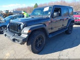 JEEP WRANGLER UNLIMITED WILLYS 4X4 1C4HJXDNXLW170396 fotografie