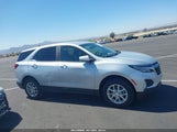 CHEVROLET EQUINOX AWD 2FL 2GNAXTEV0N6134115 photo