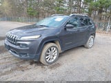 JEEP CHEROKEE LIMITED 1C4PJMDB8GW309110 снимка