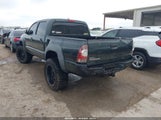 TOYOTA TACOMA BASE V6 3TMLU42N89M032318 photo