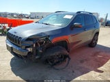 JEEP CHEROKEE ALTITUDE 1C4PJMCB2GW162896 снимка