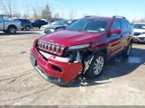 JEEP CHEROKEE LIMITED 1C4PJMDS1FW646135 снимка
