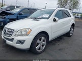 MERCEDES-BENZ ML 350 4JGBB5GB1AA608303 photo