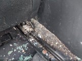 HYUNDAI ELANTRA SEL 5NPD84LF9KH411100 снимка