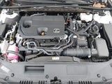 LEXUS ES 300H F SPORT HANDLING 58ABA1C13RU038476 fotografie