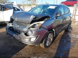 Hyundai Tucson Se KM8JU3AG5FU049293 photo