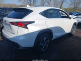 LEXUS NX 300H JTJGJRDZ0M5010607 снимка
