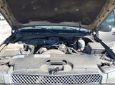 CHEVROLET SILVERADO 1500 1GCEC14X13Z344186 снимка