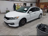 HONDA ACCORD LX 1HGCR2F37GA043529 снимка