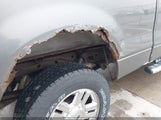FORD F-150 FX4/LARIAT/XL/XLT 1FTPX14V58FC01083 снимка
