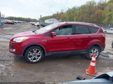 FORD ESCAPE TITANIUM 1FMCU9J9XEUA87081 снимка