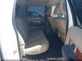 FORD F-150 FX4/HARLEY-DAVIDSON/KING RANCH/LARIAT/PLATINUM/XL/XLT 1FTFW1EV3AKE16813 photo