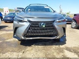 LEXUS NX 350H LUXURY JTJHKCEZ1S2049993 fotografie