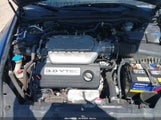 HONDA ACCORD 3.0 EX 1HGCM66586A071412 photo