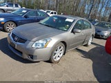 NISSAN MAXIMA 3.5 SE 1N4BA41E47C854298 снимка