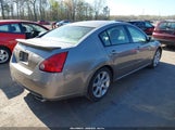 NISSAN MAXIMA 3.5 SE 1N4BA41E47C854298 снимка