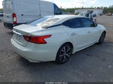NISSAN MAXIMA 3.5 SV 1N4AA6AP1JC369830 снимка