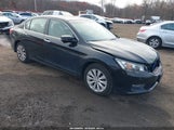 HONDA ACCORD EX 1HGCR2F71DA266776 снимка