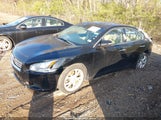 NISSAN MAXIMA 3.5 SV 1N4AA5AP5DC822071 снимка