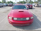 FORD MUSTANG GT DELUXE/GT PREMIUM 1ZVHT82H285194618 photo