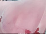 NISSAN ALTIMA 2.5 S 1N4AL2AP8CN517661 снимка