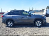 TOYOTA RAV4 XLE JTMP1RFV9KD522379 fotografie