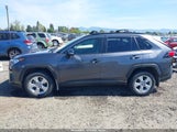 TOYOTA RAV4 XLE JTMP1RFV9KD522379 fotografie