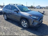 TOYOTA RAV4 XLE JTMP1RFV9KD522379 fotografie
