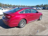 HYUNDAI SONATA SPORT 5NPE34AF6FH124468 photo