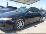 ACURA TSX JH4CL96936C031666 снимка