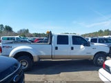 FORD F-350 LARIAT/XL/XLT 1FTWW33F8XEE88444 fotografie