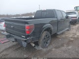 FORD F-150 FX4 1FTFW1ET9EFB11863 снимка
