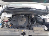 HYUNDAI SANTA FE SE 5NMS1DAJ9MH326387 fotografie