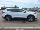 HYUNDAI SANTA FE SE 5NMS1DAJ9MH326387 fotografie