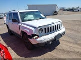 JEEP PATRIOT SPORT 1C4NJRBBXFD366443 photo