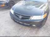 ACURA TSX JH4CL96816C019829 снимка