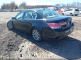 HONDA ACCORD 2.4 EX-L 1HGCP2F89BA117611 снимка
