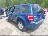 Ford Escape Xlt 1FMCU93108KA64769 снимка