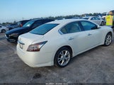 NISSAN MAXIMA 3.5 SV 1N4AA5AP0EC483561 снимка
