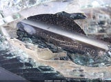 TOYOTA CAMRY LE 4T1DAACKXSU091156 снимка