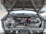 NISSAN ROGUE S JN8AS5MT2DW523169 снимка
