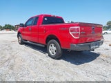 FORD F-150 FX4/LARIAT/XL/XLT 1FTFX1EV0AKE50608 fotografie