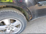 HONDA PILOT EX-L 5FNYF48529B035128 снимка