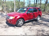 FORD ESCAPE XLT 1FMCU9DGXCKB25458 fotografie