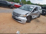 HONDA ODYSSEY LX 5FNRL5H27DB075559 снимка